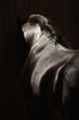 cheval