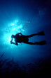 diver silhouette