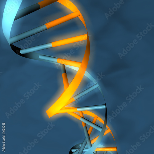 dna doppelhelix