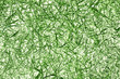 grass abstract