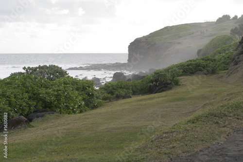 scogliera a mauritius