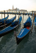 gondolas venice