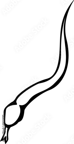 Illustration: snake snake