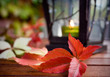autumn