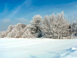 russian winter