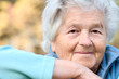 portrait of an elderly woman portrait of an elderly woman