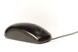 old mouse