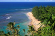 beautiful beach on kauai