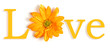 yellow love
