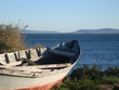 barque