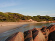 pinède sur la plage pinède sur la plage