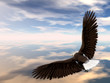 eagle 2