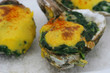 oysters rockefeller - close