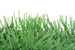 artifical pine branch artifical pine branch