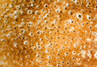 pancake