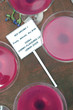 pink cocktails