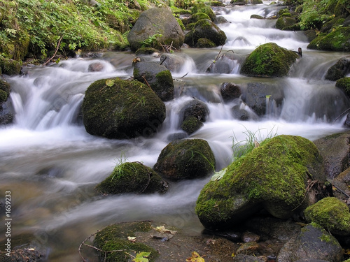 the stream