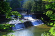paine falls 7