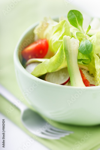 fresh salad fresh salad