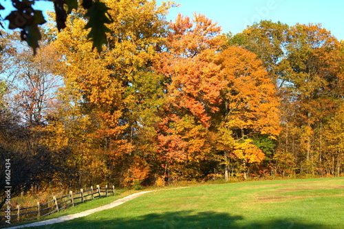 Photo: fall, fence, field and path fall, fence, field and path