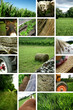 campagne