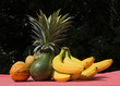 fruits exotiques fruits exotiques