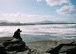 man on bundoran coast man on bundoran coast