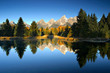 a touch of fall