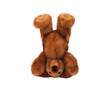 teddy bear doing a headstand