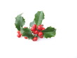 tradition de noel tradition de noel
