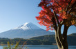 mount fuji in fall vii