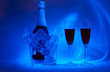 night-time cellebration