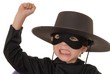 zorro the avenger 11