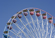 ferris wheel