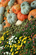 pumpkins and fall flowers
