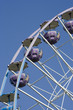 ferris wheel
