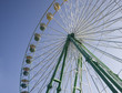 ferris wheel