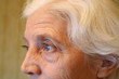 Foto: alte dame alte dame