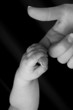 hands