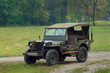 jeep willys