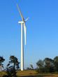 éolienne