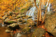 Photo: autumn falls autumn falls