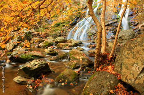 Photo: autumn falls autumn falls