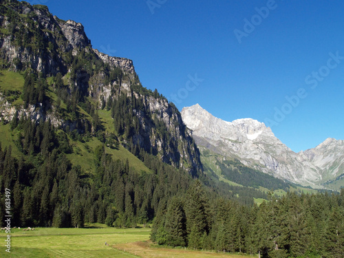 alps in swiss