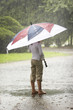 umbrella in the rain
