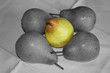 poires poires