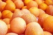 melons