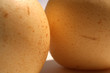 asian pears 6