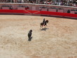 corria à cheval à la féria de nimes corria à cheval à la féria de nimes