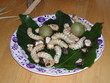 plat de vers de bancoule plat de vers de bancoule